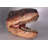 T-Rex Dinosaur Head Medium Life Size Statue