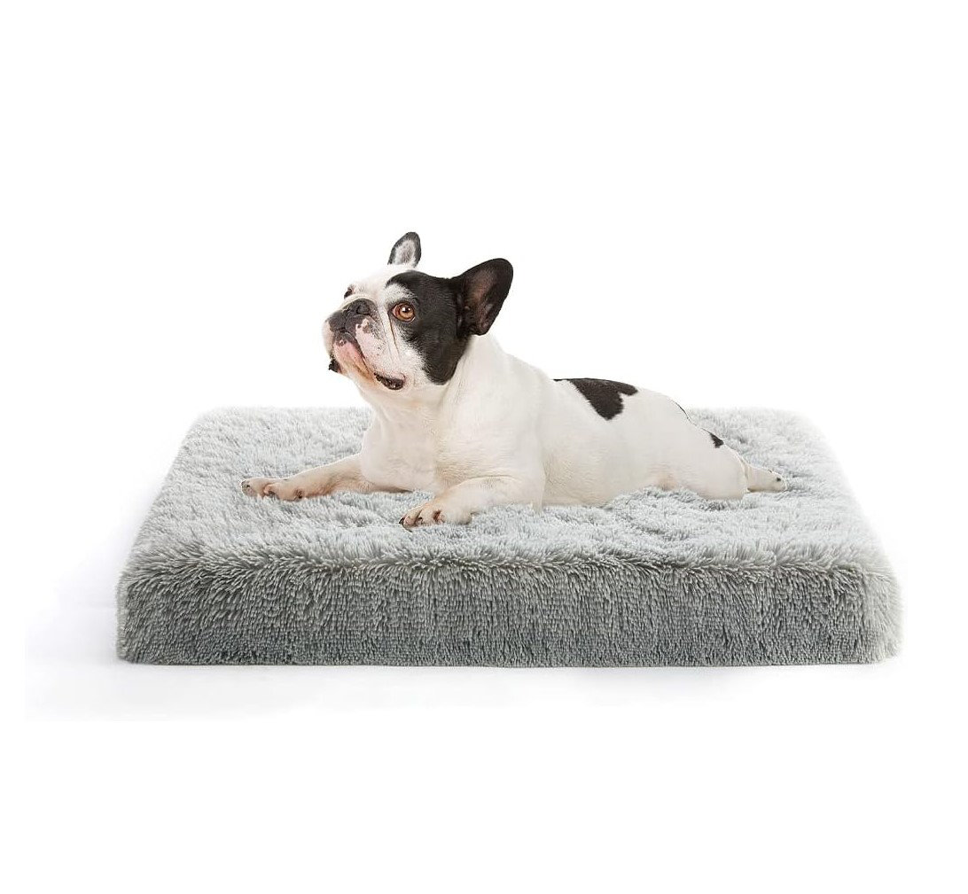 Small Dog Bed, Orthopedic Egg Crate Foam Dog Bed with Removable Washable Cover, Waterproof Dog Mattress Nonskid Bottom, Comfy Anti Anxiety Pet Bed Mat