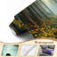 Papier peint adhésif pelucheux Serene Forest Pond-825674825