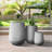 Pot Planter-1644933534