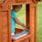 Backyard Discovery Playhouse