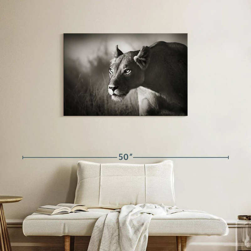 Brampt Stalking Lioness, 24" H x 36" W