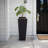 Paloma Planter-1844479441