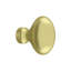 Oval Knob-14748393