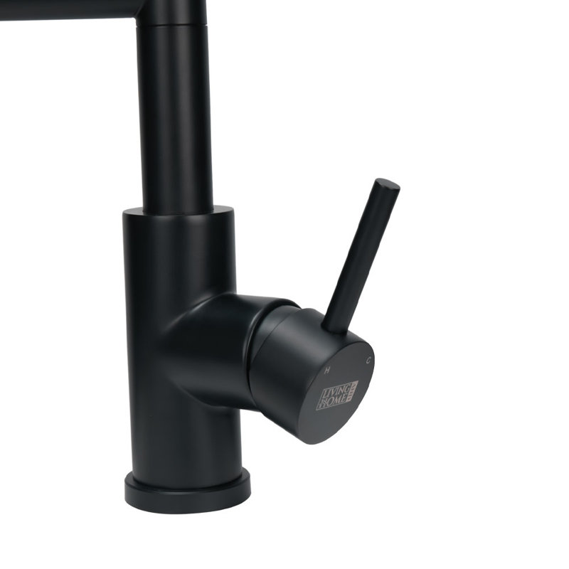 Belfry Kitchen Burhill Pull Out Kitchen Faucet, Black