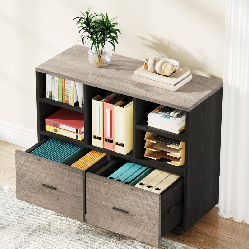 Maidel 39.37'' Wide 2 -Drawer Mobile File Cabinet, Gray/Black