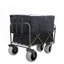 Chariot tout-terrain de pêche et de plage avec porte-cannes, capacité de 500 lb
