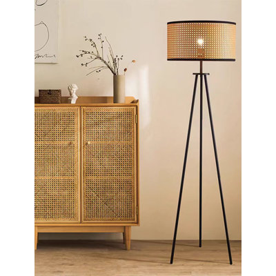 Vintage Wabi-Sabi Style Iron & Rattan Floor Lamp