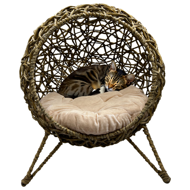 Lit surélevé pour animal de compagnie, Brun