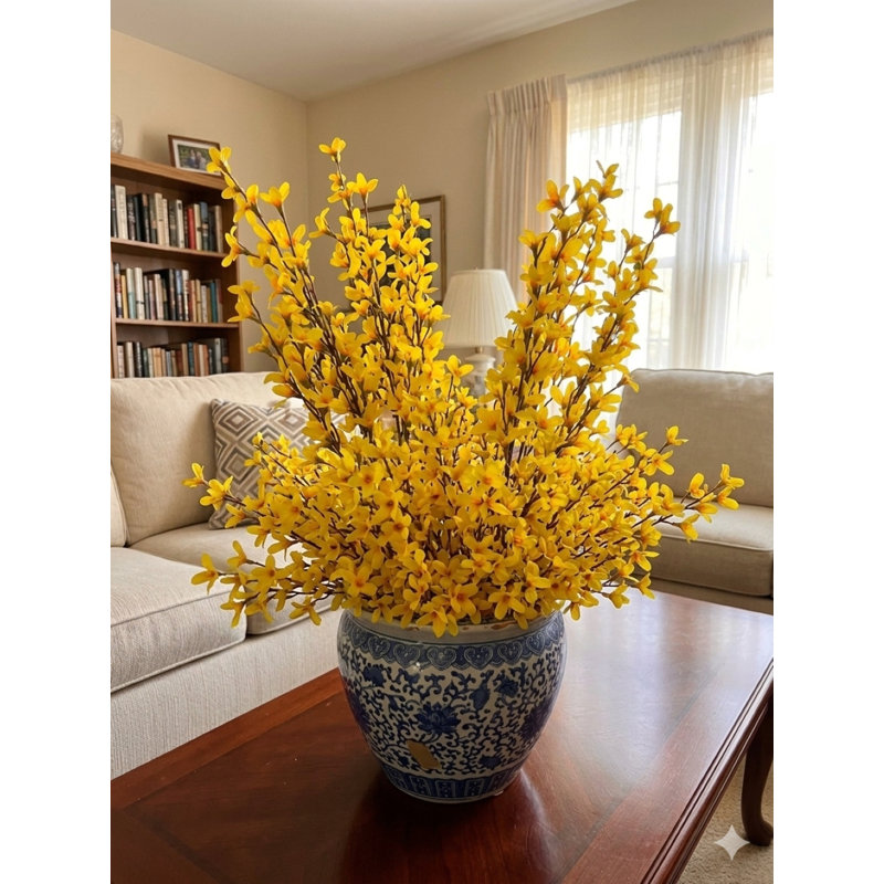 2pc  26" Forsythia Bush