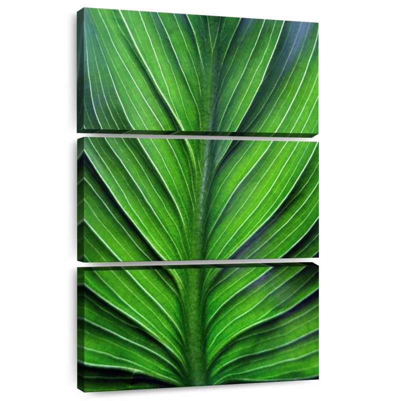 Harnek Leaf Lines, 23" H x 14" W