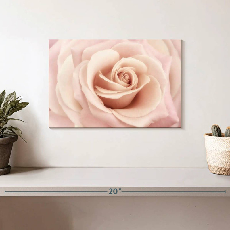 Harnek Peach Pink Rose, 8" H x 12" W