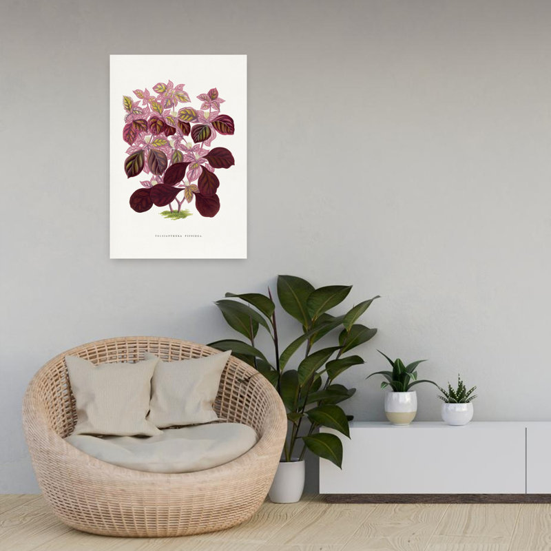 Rose, Teleianthera Ficoidea, feuille, abstrait, rétro, rétro, fleur de lilas, art mural, H 24 po x l 16 po