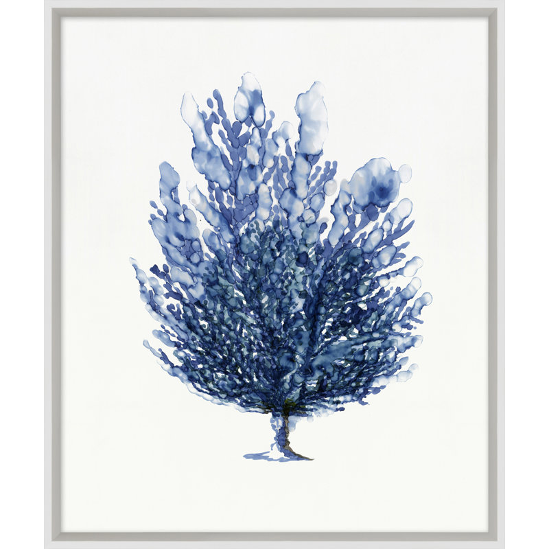 Sapphire Sealife 1 Print by Hamptons