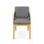 Amadora Dining Arm Chair- Natural-1911621279