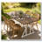 Extendable Dining Table Modern Stable Robust Solid Base-1950297697