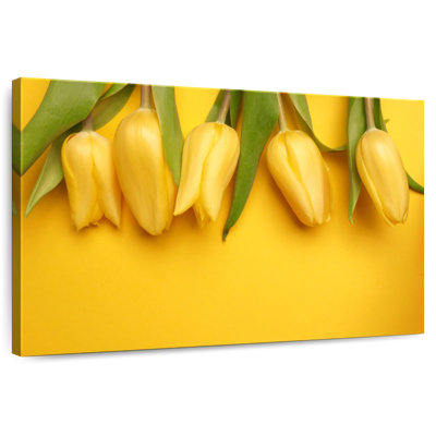Gamme de tulipes jaunes Harnek