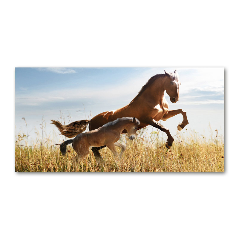 Mare With Foal - Wrapped Canvas Print