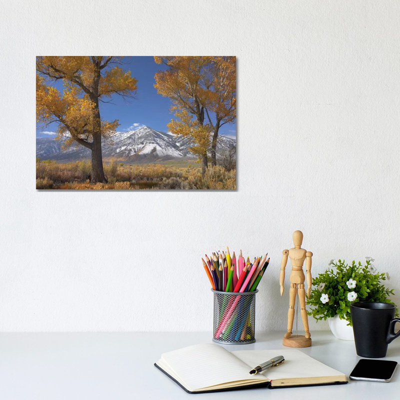 Cottonwood Trees, Fall Foliage, Carson Valley, Nevada II by Tim Fitzharris - Gallery-Wrapped Canvas Giclée on Canvas, Canvas