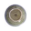 THYME 21.98 ml Pasta Bowl