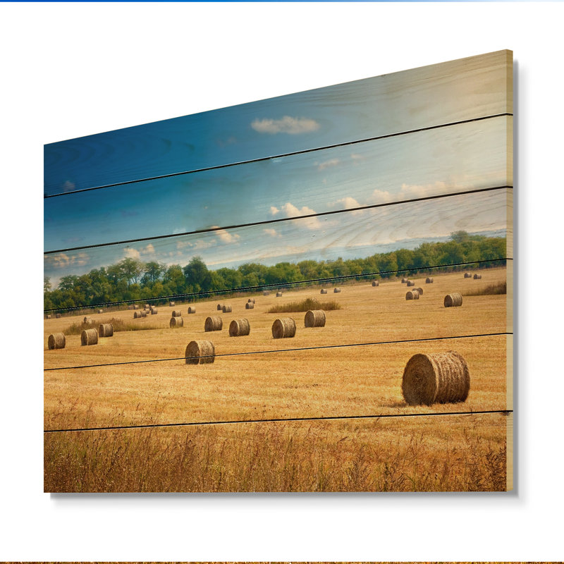 Paysage de balles de paille - décoration murale traditionnelle en bois, H 24 po x l 36 po x P 1 po