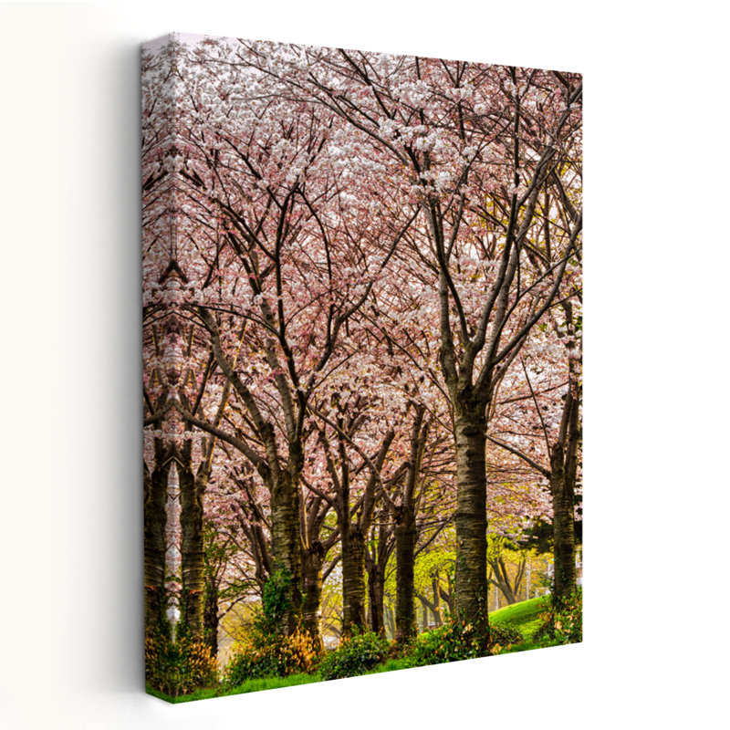 Cerisiers en fleurs, arbre printanier, art abstrait, art de la nature, contemporain, H 24 po x l 16 po