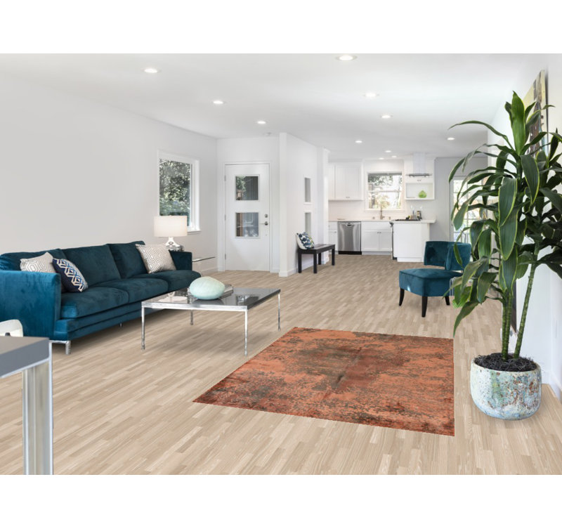 Tapis moderne all-over 4 x 6