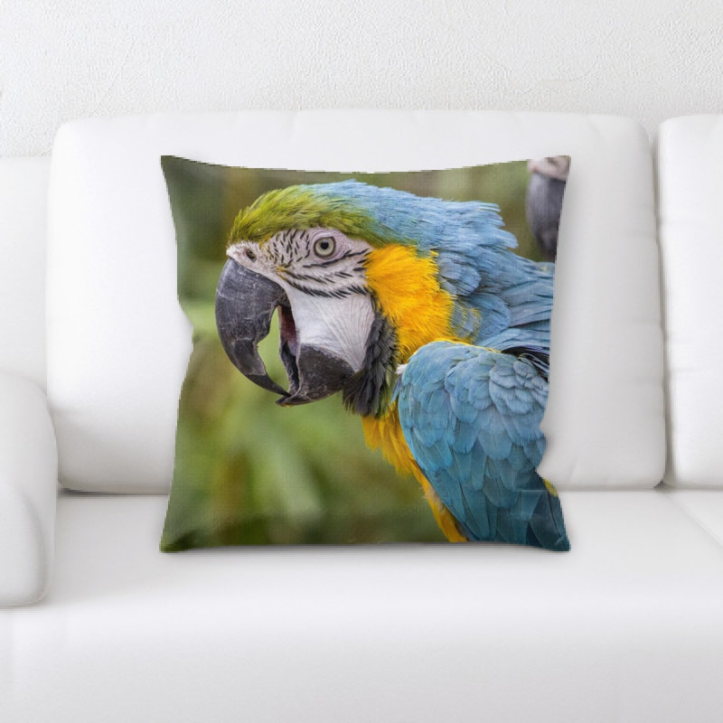 Coussin ara