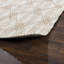 Tustin Abstract Area Rug in Ivory-1659762414