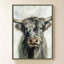Vache Highland-1108431438-1108431440