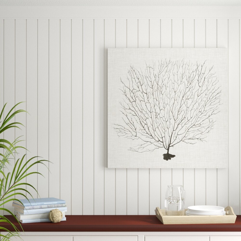 Leinwandbild Shadow Sea Fan II von Grace Popp