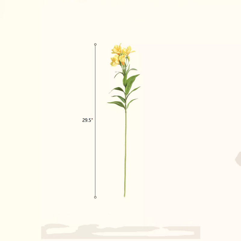 Arrangement
