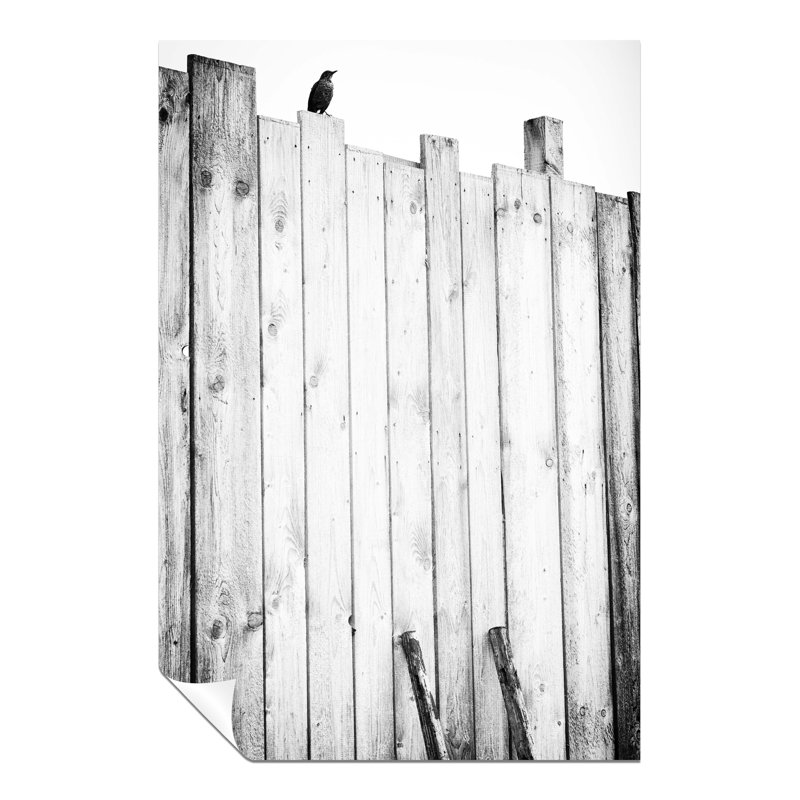 Lonely Raven Wall - No Frame Print, 61cm H x 41cm W x 0.5cm D