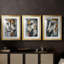 ANIMALS Series Cxxi - Impression encadrée sur mesure de qualité supérieure - 3 pièces-740365863-740365866
