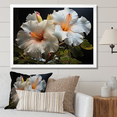 " Hibiscus Field "