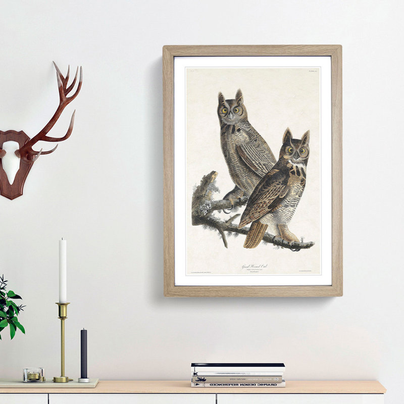Great Horned Owls by John Audubon - Picture Frame Painting Print, 36cm H x 27cm W x 2cm D, Oak Framed