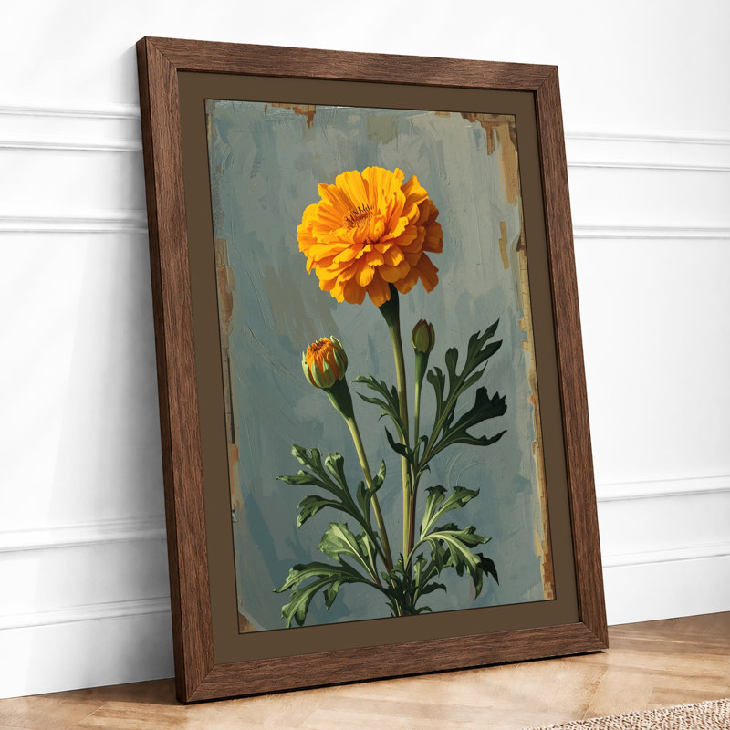 Golden Marigold Study Botanical - Framed Print, A4 - 29.7 x 21.0 cm, Walnut