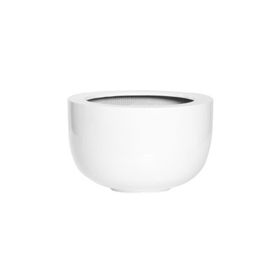 Sunny M, blanc brillant