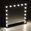 Lizbeth 16-Light Metal Rectangle Dressing Mirror