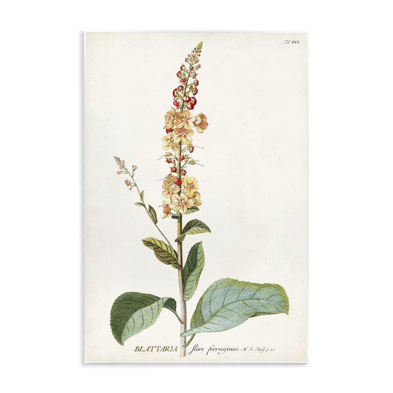 Art sur plaque de plante botanique, H 15 po x l 10 po