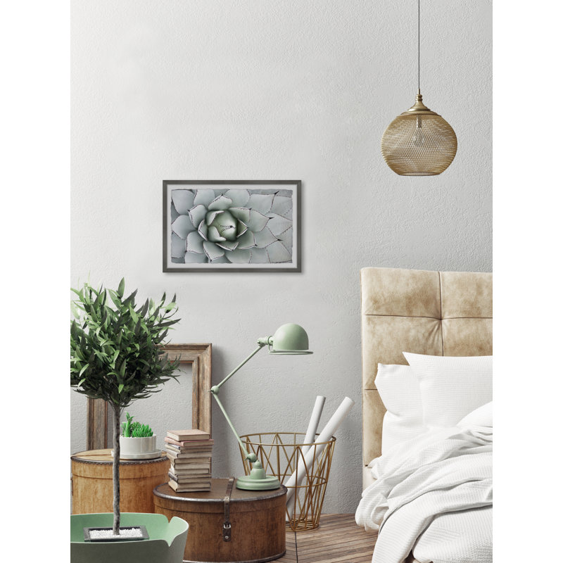 Succulent Outline - Single Picture Frame Painting, 38 cm H x 45 cm W
