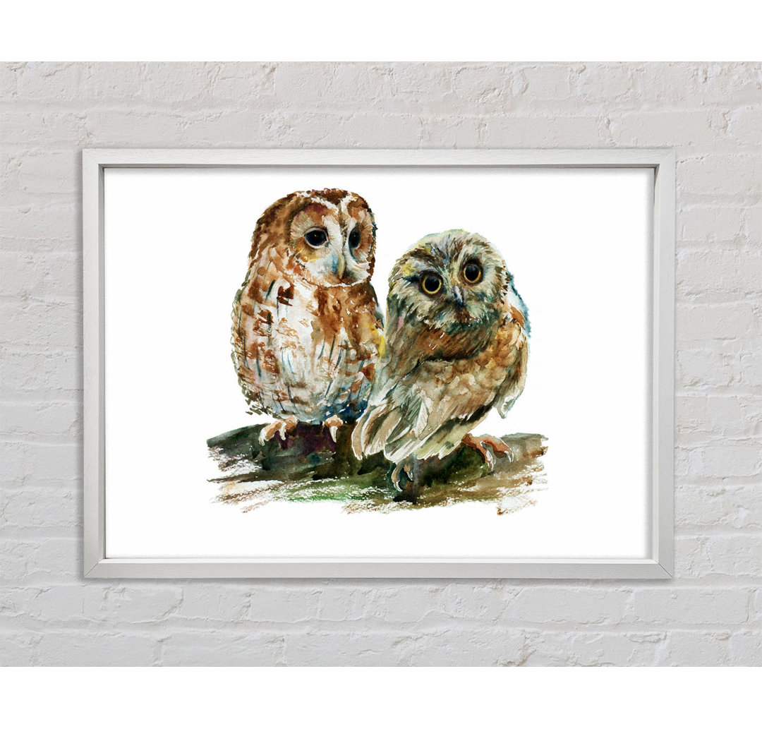 Barred Owl Duo - Einzelner Bilderrahmen Kunstdrucke auf Leinwand