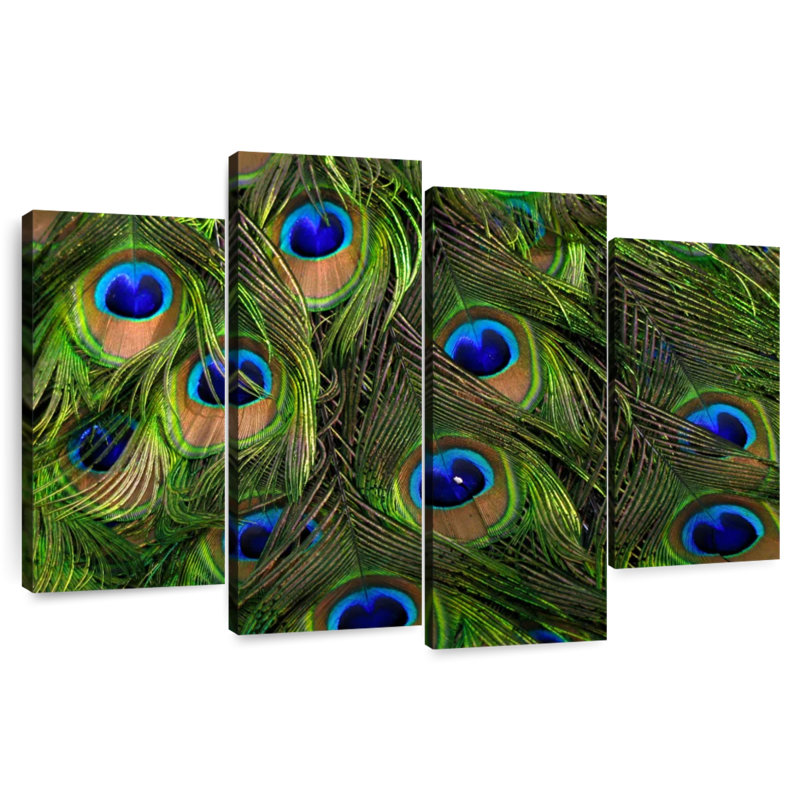 Plumes de paon soyeuses Brampt, H 22 po x l 36 po
