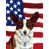 Brun / blanc corgi sélectionné