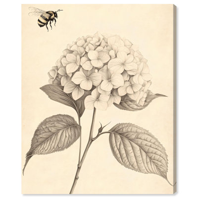 «Hydrangea and Bee II», reproduction d'art sur toile par Art Remedy, 16 x 20