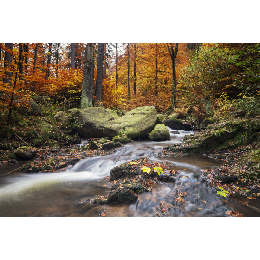 Autumn Stream von DieterMeyrl - Kunstdrucke