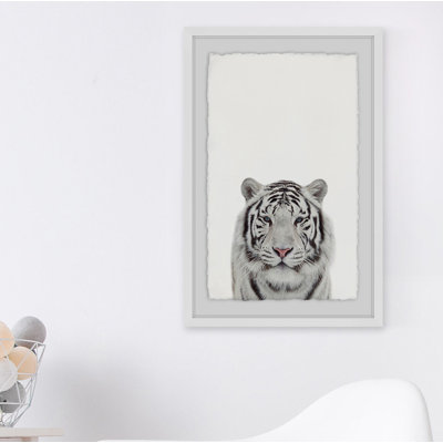 « guépards tiger », reproduction de photo encadrée