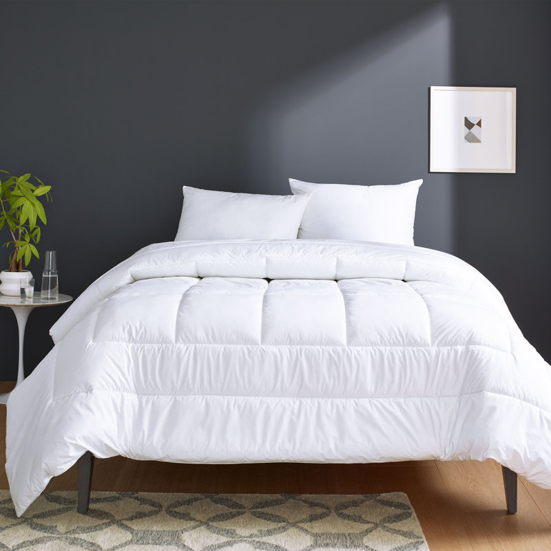 Clean Design Home Anti-Allergen 100% Cotton Cover 300 Thread Count Super Soft Comforter, King Comforter