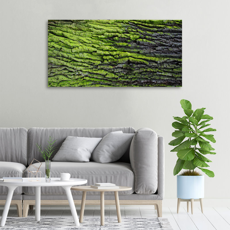 Tree Bark - Print, 50cm H x 100cm W x 2cm D, Canvas