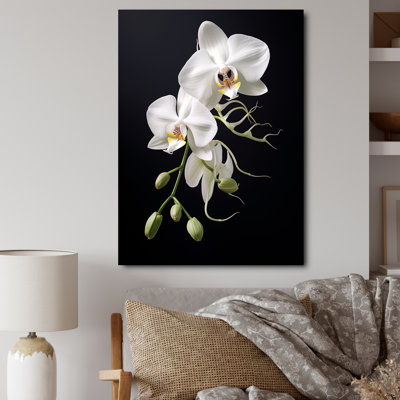 Black White Orchid Delicate Orchid - Print